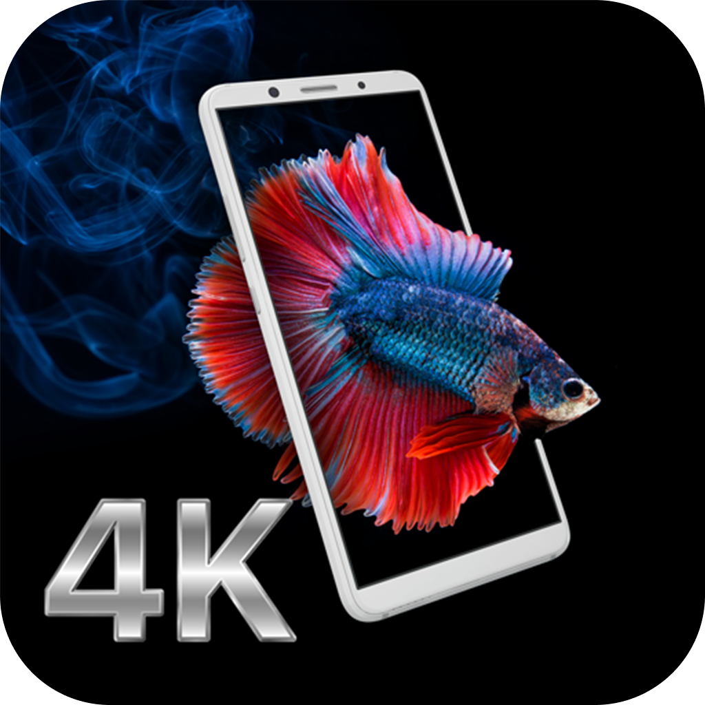 Hình nền cá betta 4K 0090