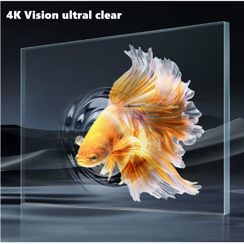 Hình nền cá betta 4K 0093