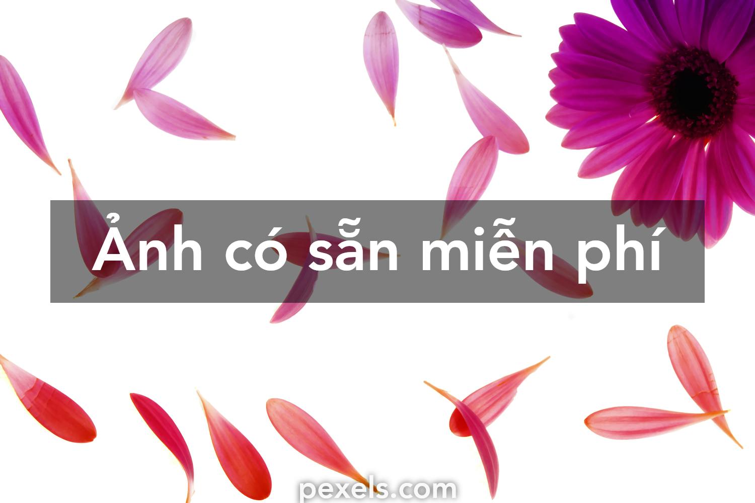 Hình nền thư pháp 4K 0080