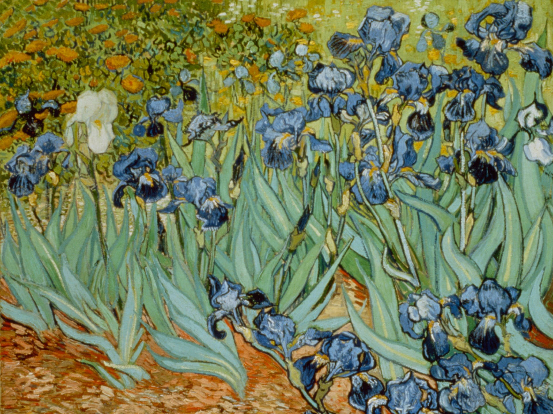 Hình nền Van Gogh 4K 0037